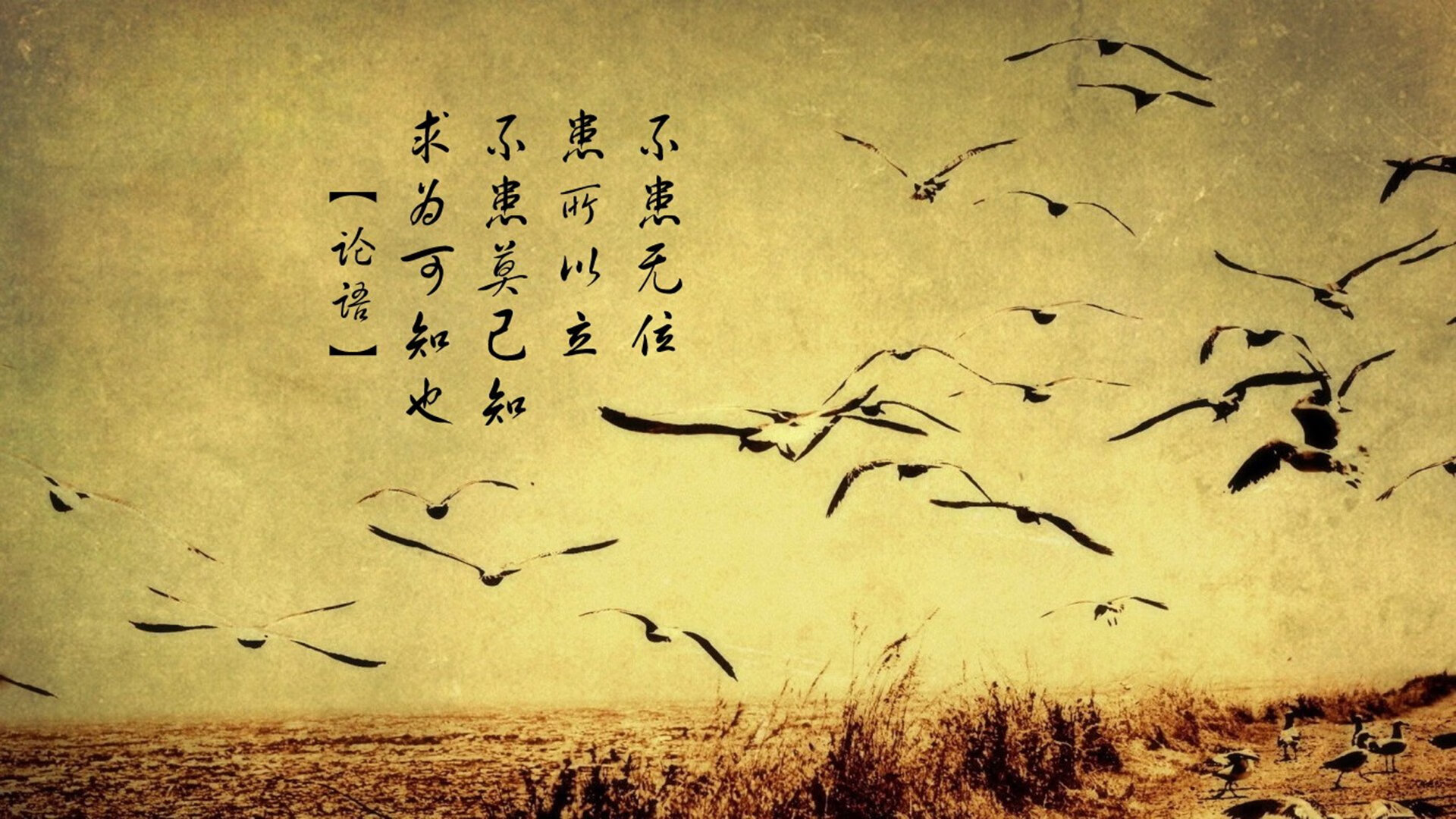 亚洲杯赛事精彩纷呈，球迷热情高涨，亚洲杯正式比赛