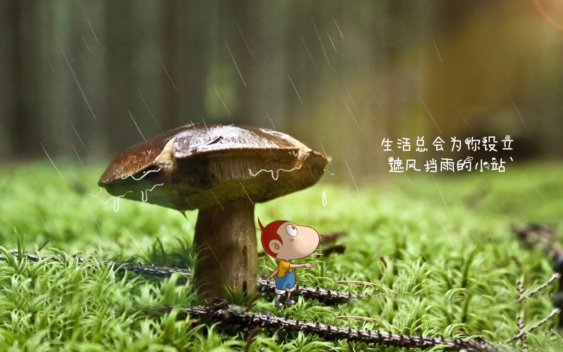 亚洲联赛积分榜竞争激烈，亚洲联赛足球