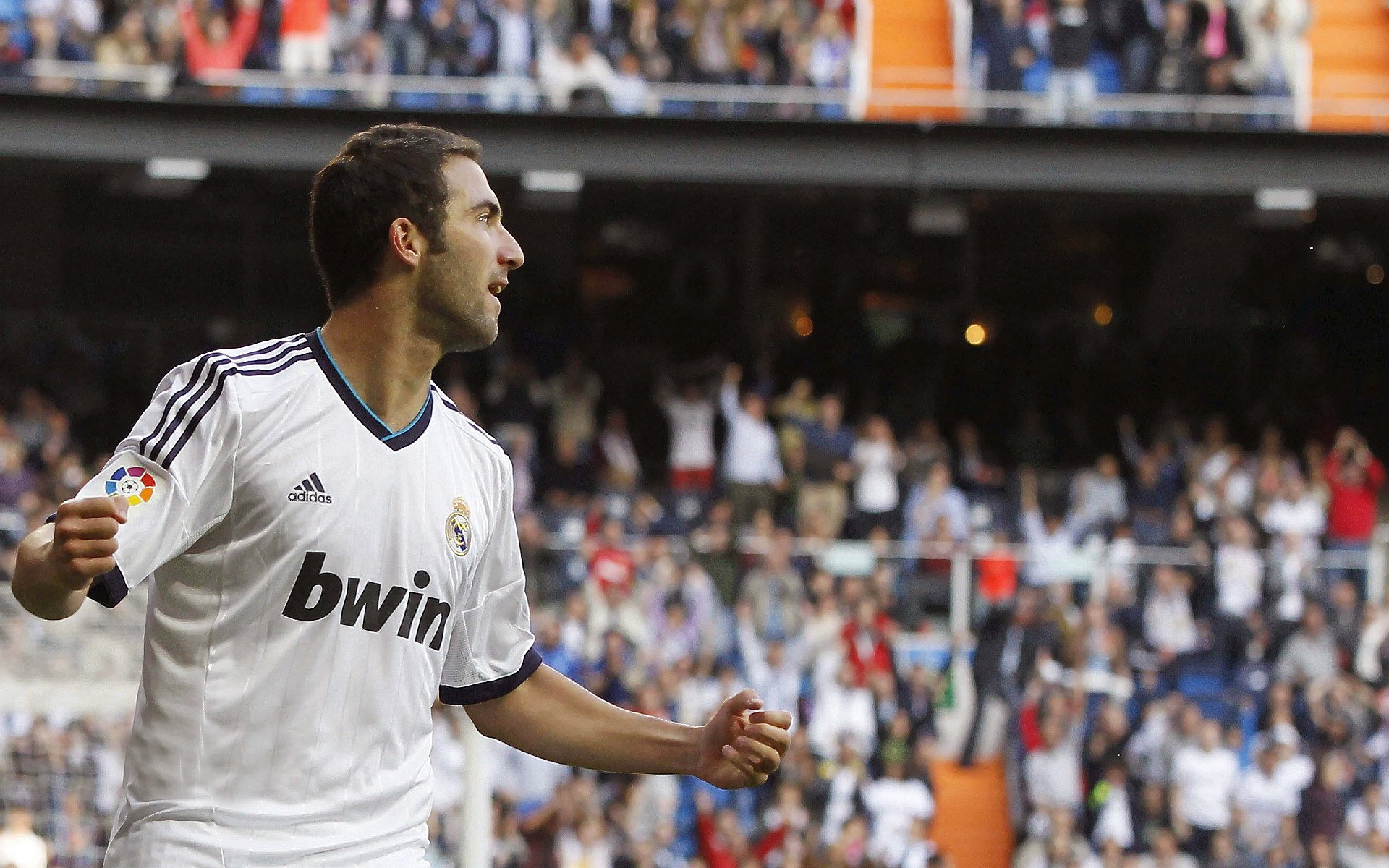 球队支持：最热情的粉丝集体行为盘点，足球粉丝群